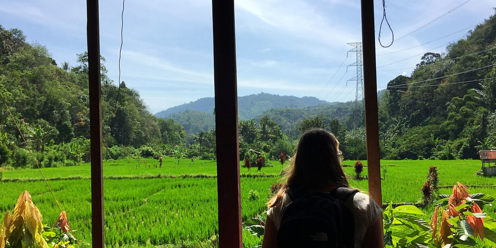 Het ‘groen’ van Indonesië
